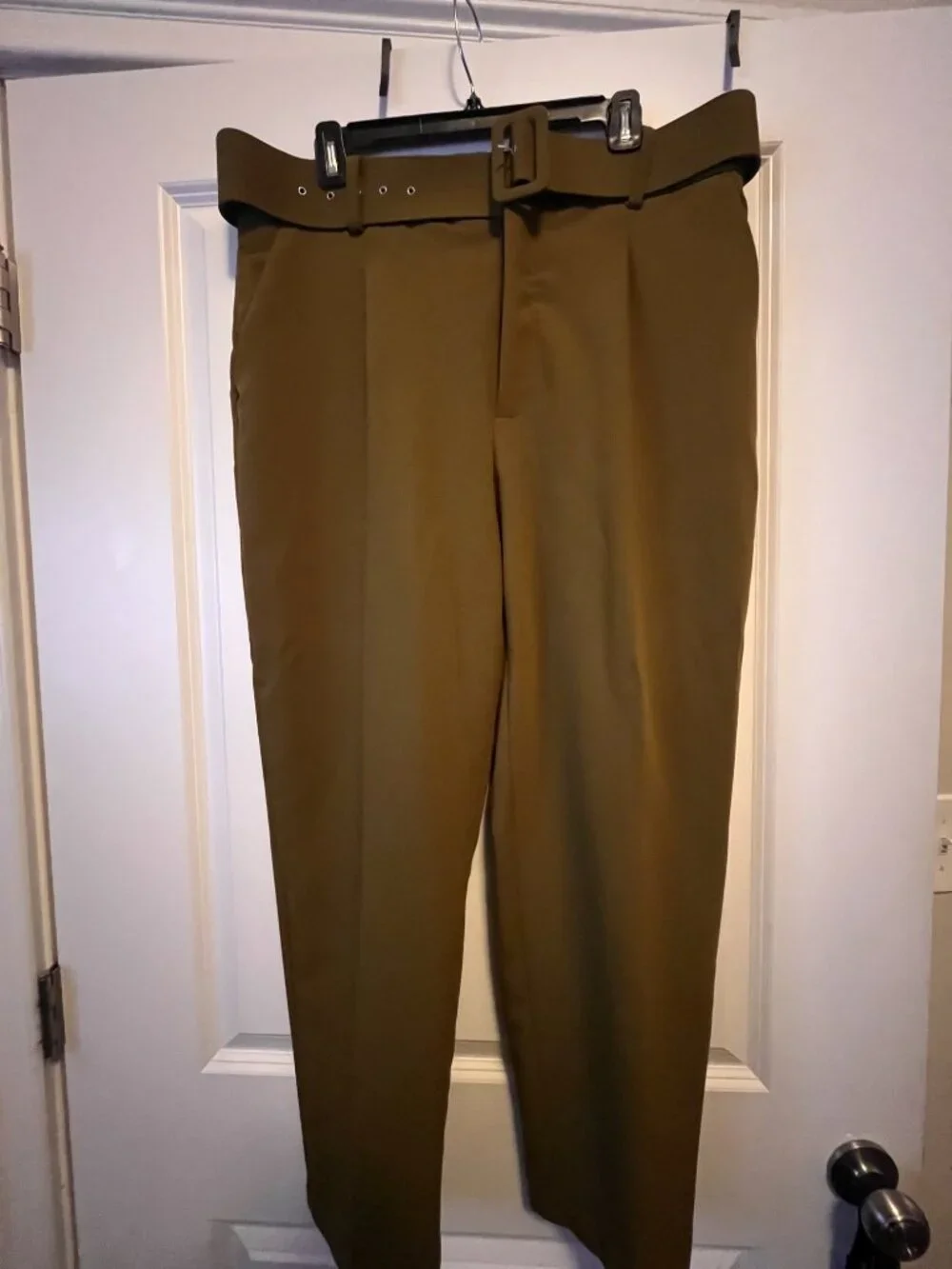 Zara Fitted Blazer & Pleated Pants (Olive) (Size XL)